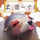 搞笑牙齿表情包8