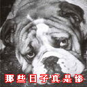 权律二超萌要钱动态表情包8