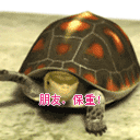 沙雕表情包狗拿耗子8