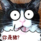 恐怖日语表情包3