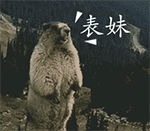 微信什么生日祝福有表情1