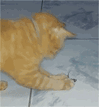 暴走漫画表情包鸡5