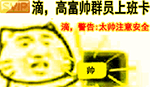 猪八戒要不要女婿动态表情包9