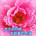 家的表情图1