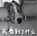 孙悟空表情包祝福语5