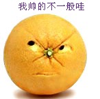 爱情公寓五张伟的平均脸表情包8