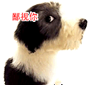 有关诅咒的搞笑表情7