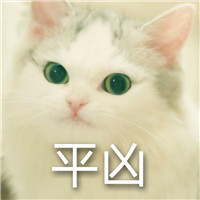 奥特曼啊哒动漫表情包3
