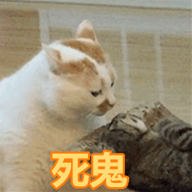 2022含有一种的搞笑表情1