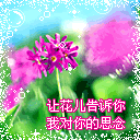 圆脸的暴走表情7