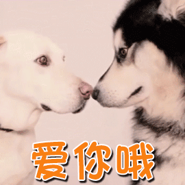 暴走邓超表情包7