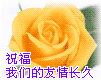在考试时画沙雕表情包5