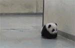 简笔画的表情包11