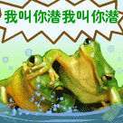 斗图我还没输过 表情8