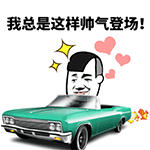 开各种动态车表情12