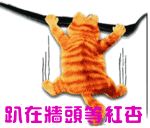 2023形容沙雕的个性表情8