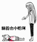 鲨鱼视频可爱表情包4