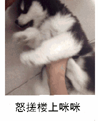 大盘图片大全集图片6