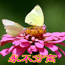喝酒可爱表情免抠素材贴纸14