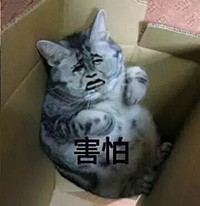 小熊猫动态打架表情包7