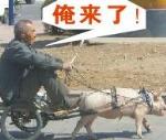 微信男女聊天动态表情8