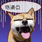 表情包搞笑沙雕熊猫疑问12