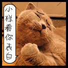 笑的表情简笔画可爱6
