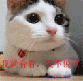 含有岁月的iphone表情符号2