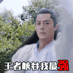 爱情公寓五诸葛大力表情包9