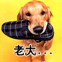 调皮表情包gif5
