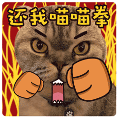 有关钱包的经典表情1