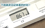 阻挡爱情糊墙表情包10