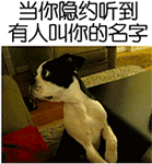 拍桌子滑稽表情包2