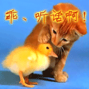 表情包 吐血1
