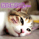 欢迎进群表情包迎新8