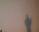 搞笑表情包都是哪来的?3