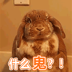 钱来的动态表情包2