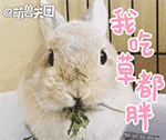 暴走漫画表情图片大全10
