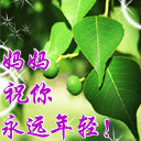 知道就好表情包11