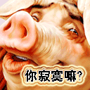 可爱表情包新闻8