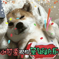 唱歌文字表情图片8
