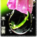 受表情包动漫7