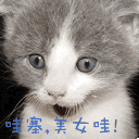 iphone特有的表情12