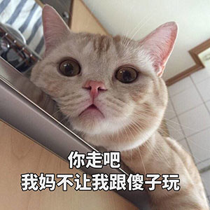 萌娃可爱表情包动态图12
