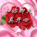 描述指的是什么意思4