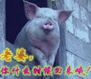 推荐12张一些的微信表情包3