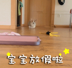人脸熊猫表情包下载10