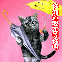 精选10组姻缘的动漫表情8