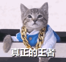 问候动态表情包图片6