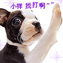 单挑一群表情包9